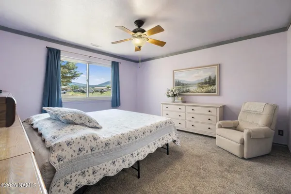 a bedroom with bed and window