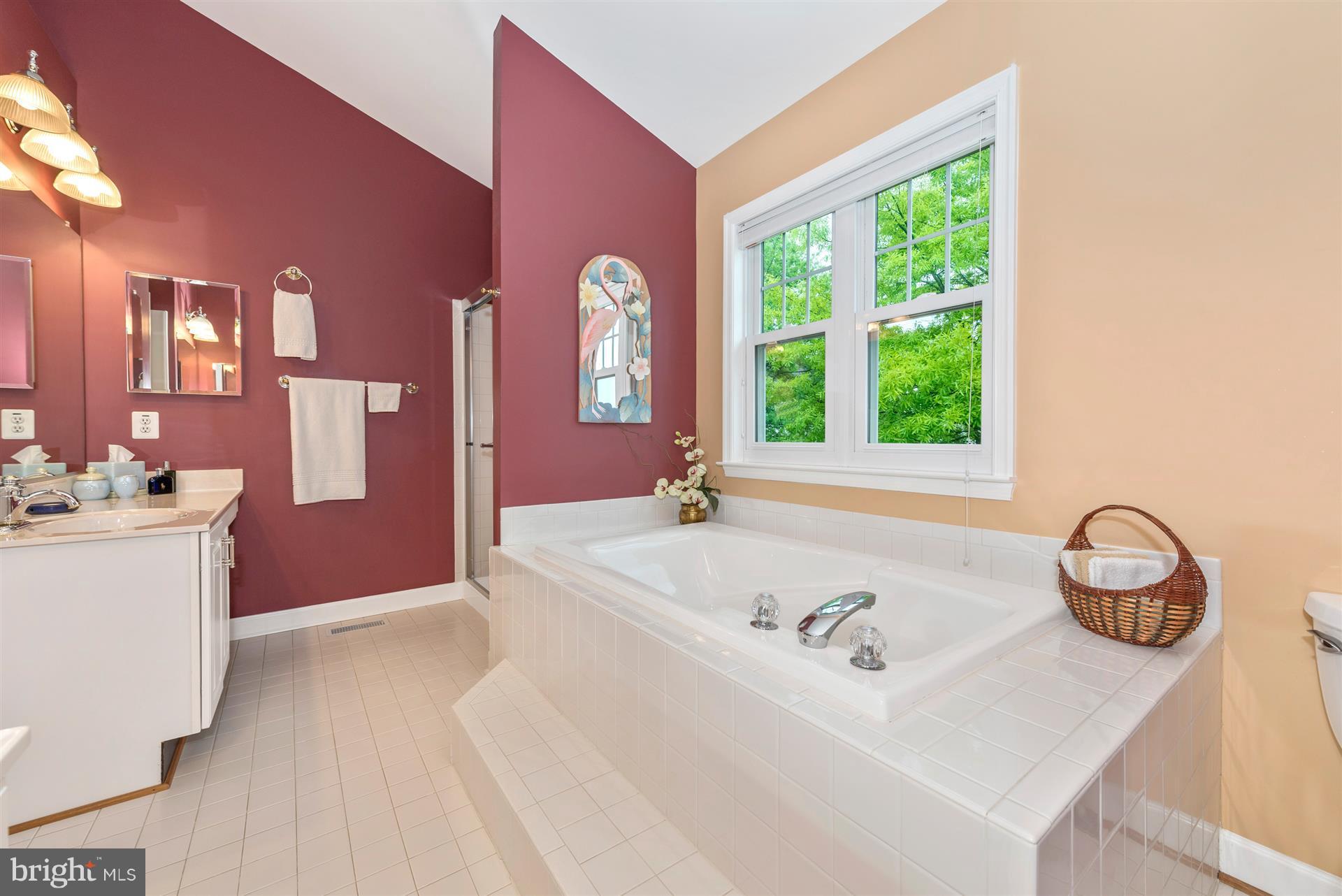 620 Hunting Ridge Drive Frederick, MD 21703 - Photo 20 of 30 Bath (Master)