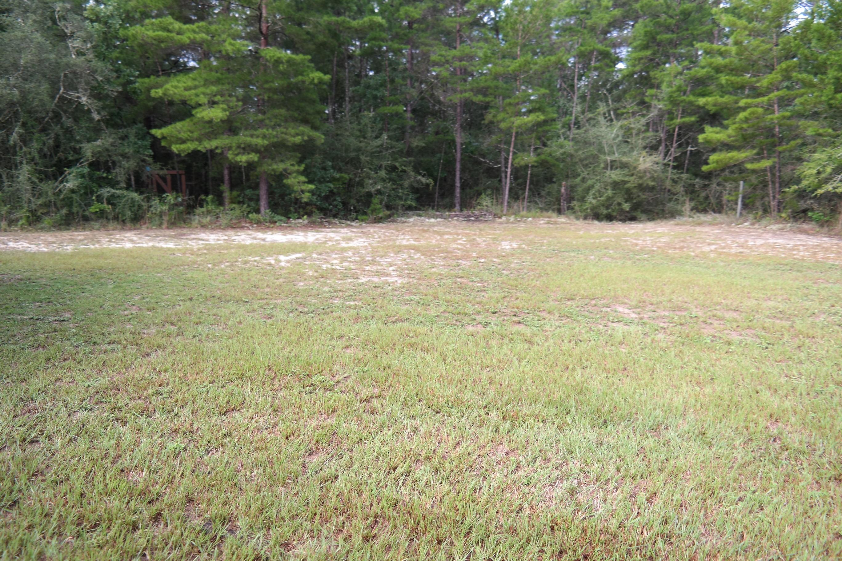 254 Lucas Road DeFuniak Springs, FL 32433 - Photo 54 of 56 a swimming pool with trees in front of it