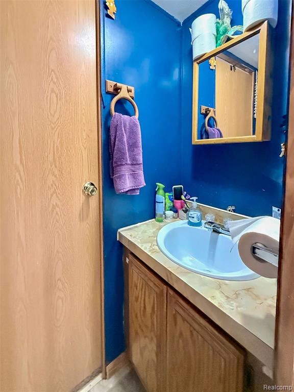 435 Rustic Lane South Belleville, MI 48111 - Photo 12 of 21