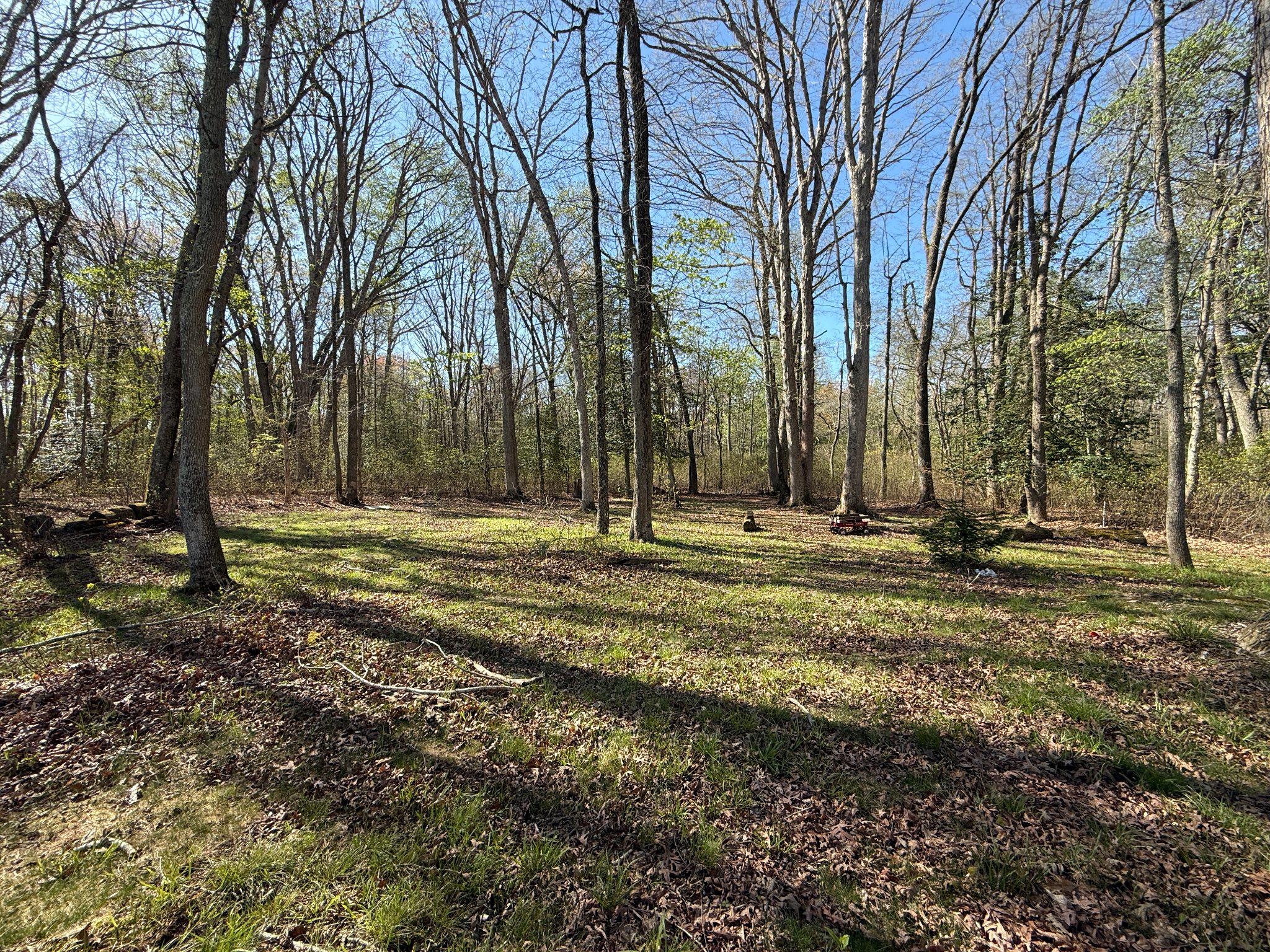18 Cobblestone Court Sicklerville, NJ 08081 - Photo 53 of 56 a view of outdoor space with trees