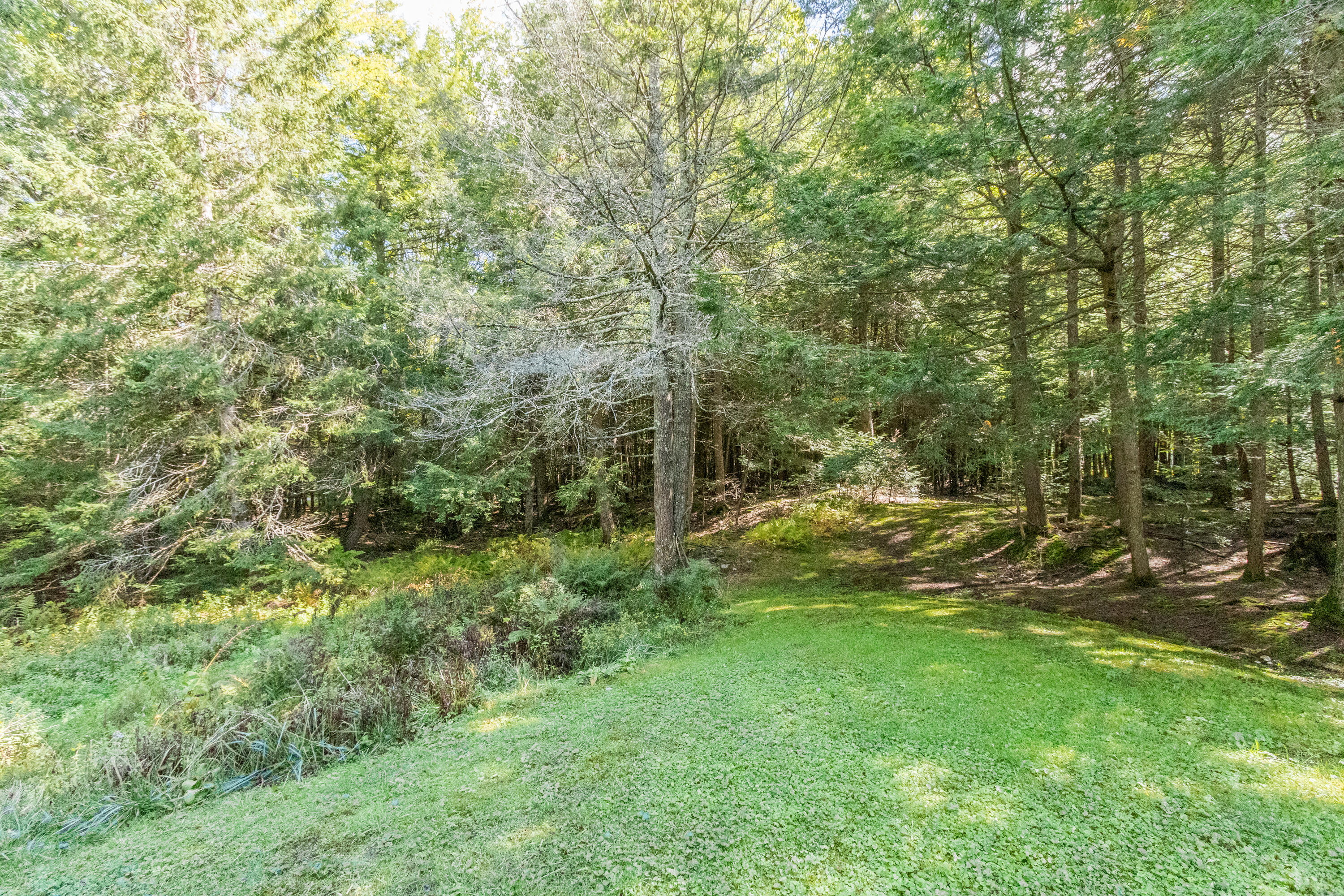 389 Greely Road Extension Cumberland, ME 04021 - Photo 35 of 37 20220923rf-71072