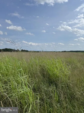 $239,000 | Lot 2 Glebe Drive, Clear Brook, VA 22624