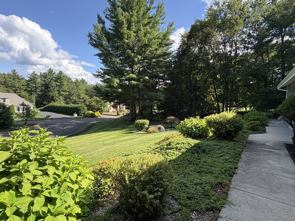 321 Westerly Circle Ludlow, MA 01056 - Photo 6 of 38 a view of a park with large trees