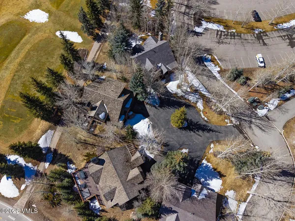 a view of a tree with a flower