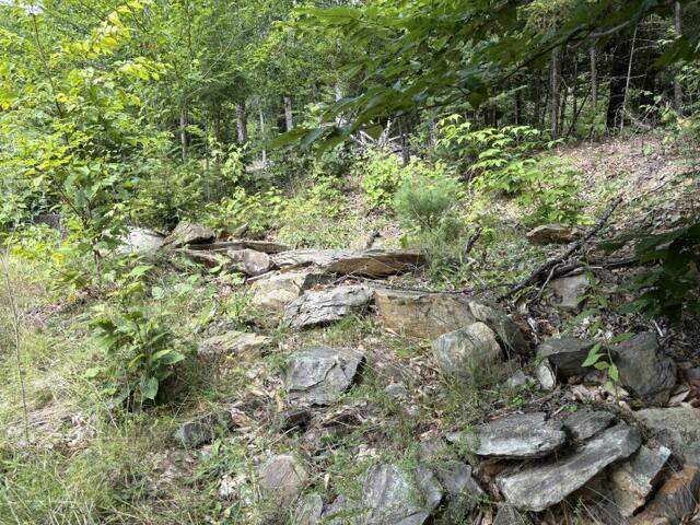 1018 Mullen Road Stetson, ME 04488 - Photo 13 of 27 IMG_7182