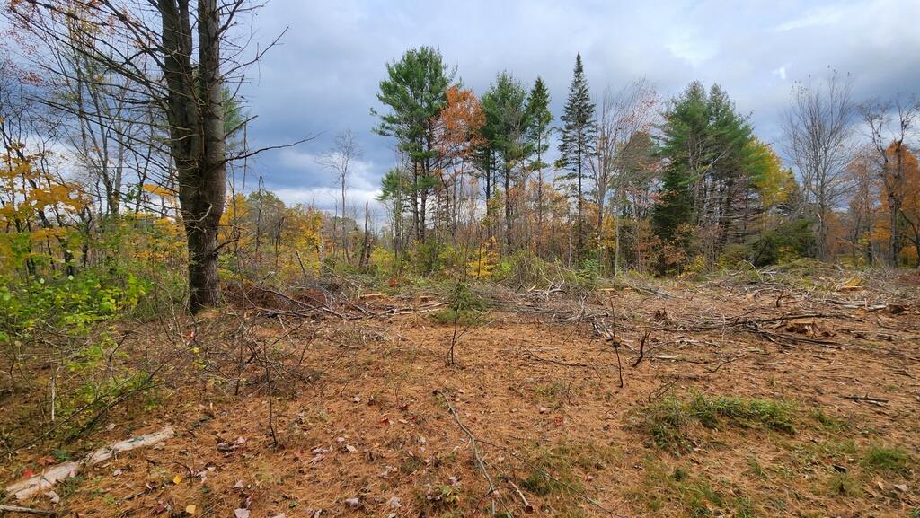 Lot 45 Embden Pond Road North Anson, ME 04958 - Photo 15 of 22 20231020_123613_resized