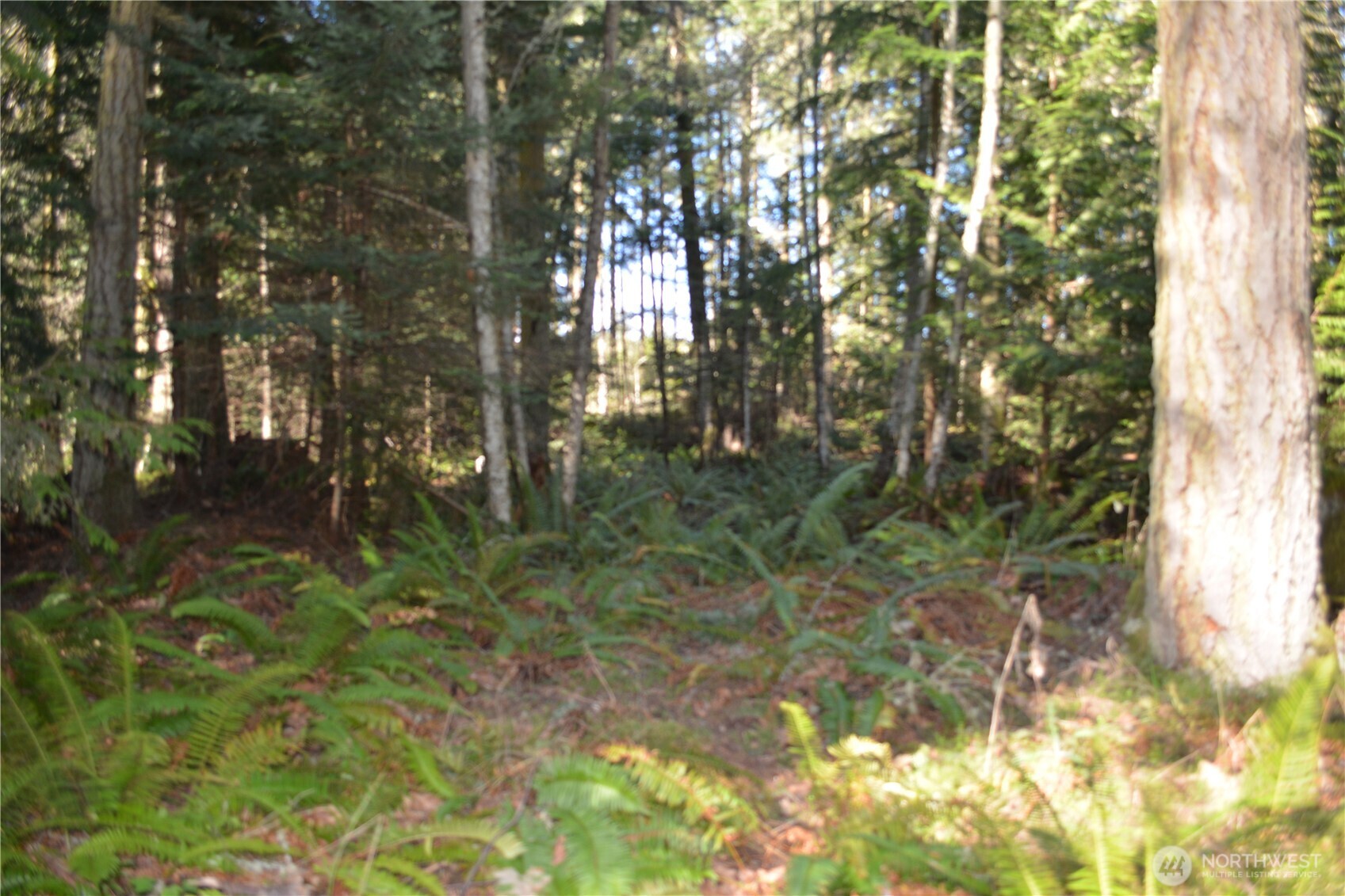 999 East Sequim Bay Road Sequim, WA 98382 - Photo 12 of 22 Gallery Image 12