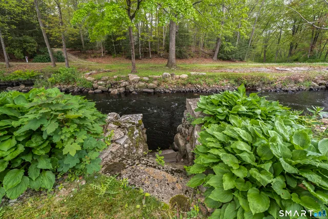 a view of a tree in a yard
