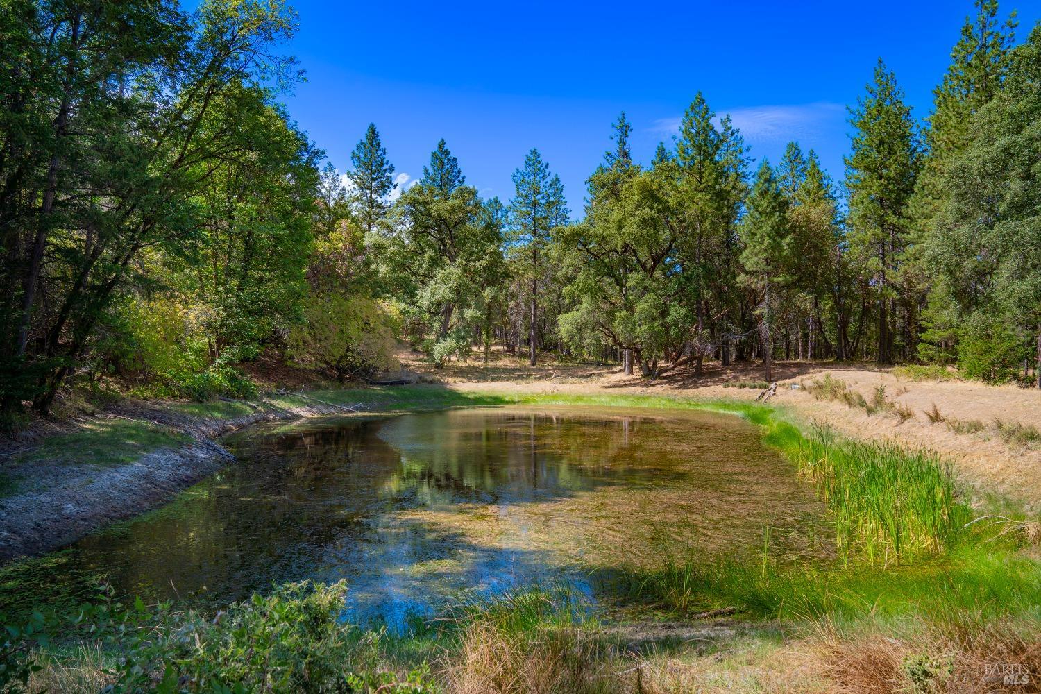 58380 Highway 162 Dos Rios, CA 95429 - Photo 23 of 62