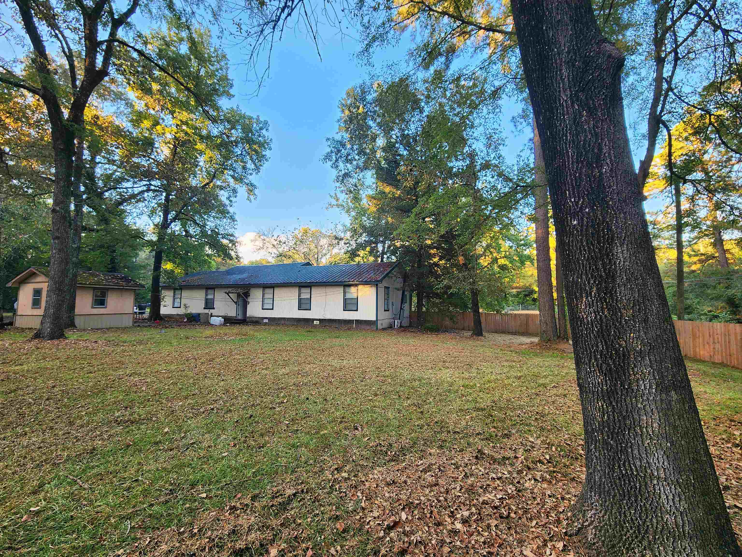 a big yard with large trees