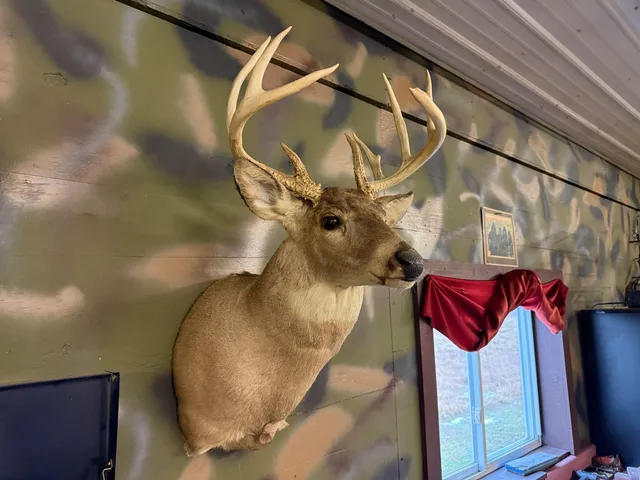 $685,000 | 448 North Batavia Road, Coldwater, MI 49036