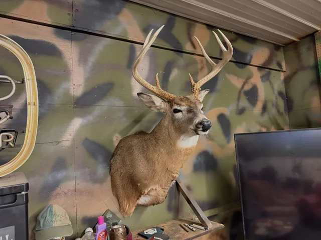 $685,000 | 448 North Batavia Road, Coldwater, MI 49036