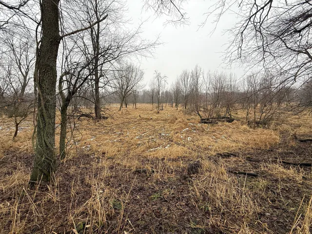 $685,000 | 448 North Batavia Road, Coldwater, MI 49036