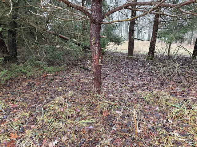 $685,000 | 448 North Batavia Road, Coldwater, MI 49036