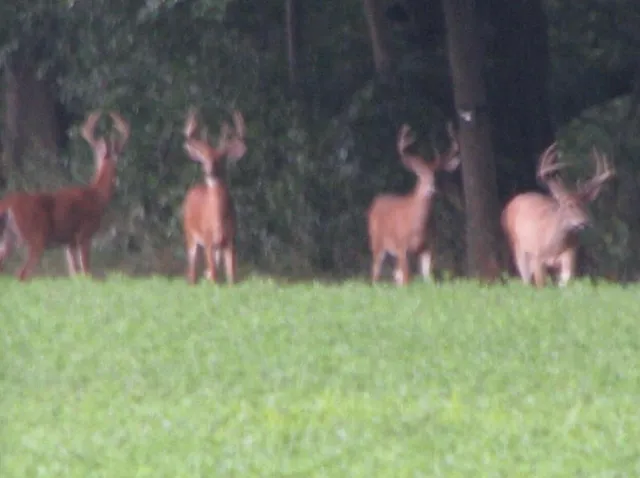 $685,000 | 448 North Batavia Road, Coldwater, MI 49036