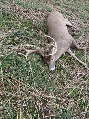 $685,000 | 448 North Batavia Road, Coldwater, MI 49036