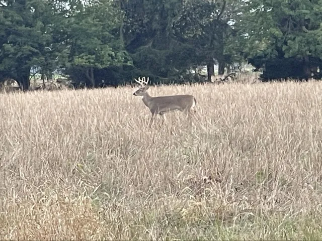 $685,000 | 448 North Batavia Road, Coldwater, MI 49036