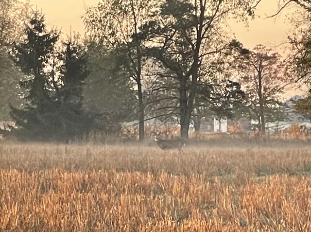 $685,000 | 448 North Batavia Road, Coldwater, MI 49036