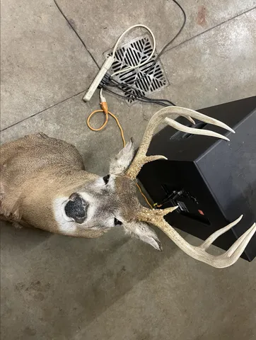 $685,000 | 448 North Batavia Road, Coldwater, MI 49036