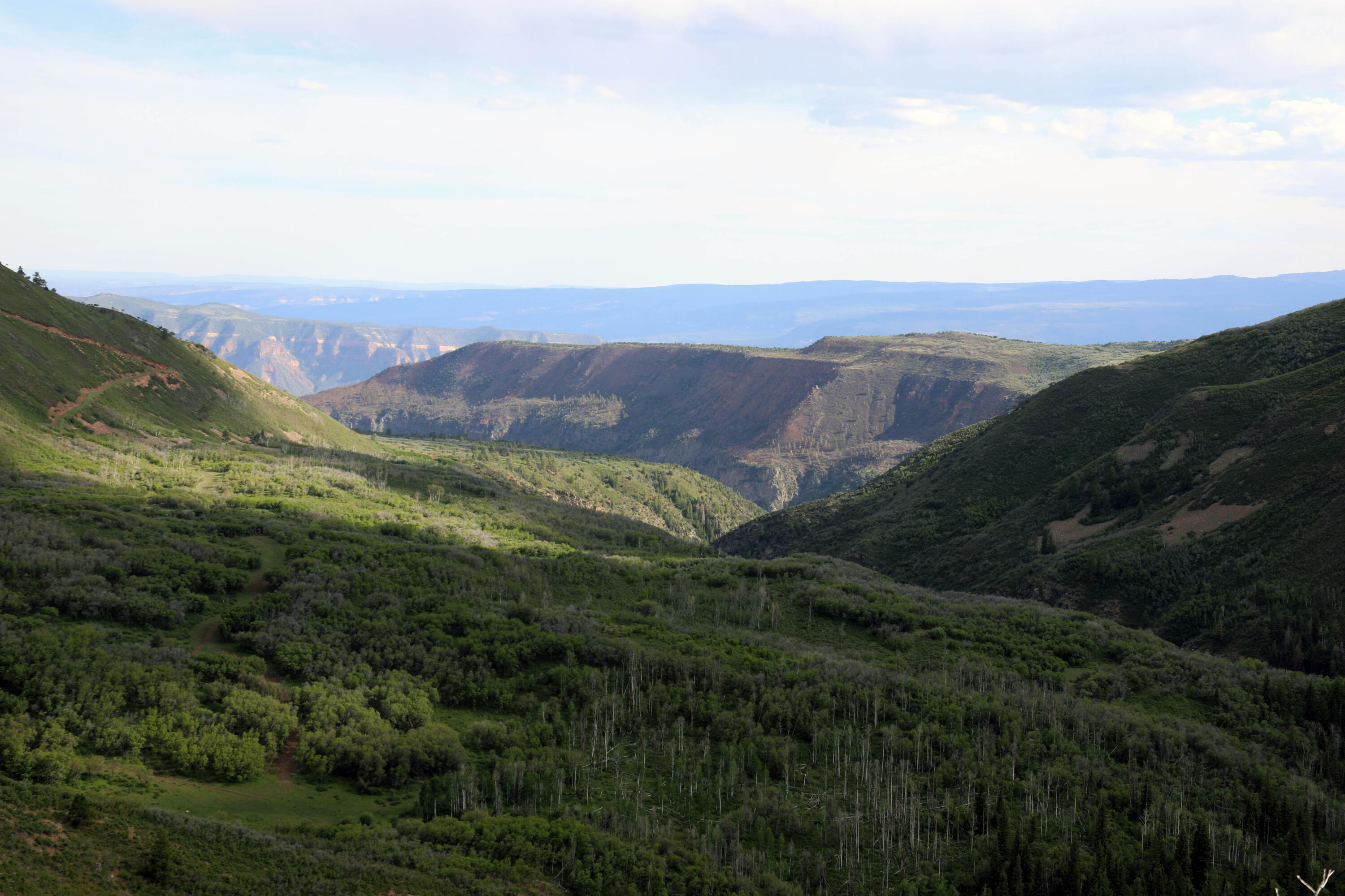 Tbd Tbd Ms Road Road Glade Park, CO 81523 - Photo 1 of 20 Camel Point Ranch