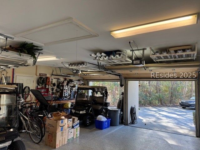 10 Hasty Point Place Bluffton, SC 29909 - Photo 39 of 53 Garage with upper storage system