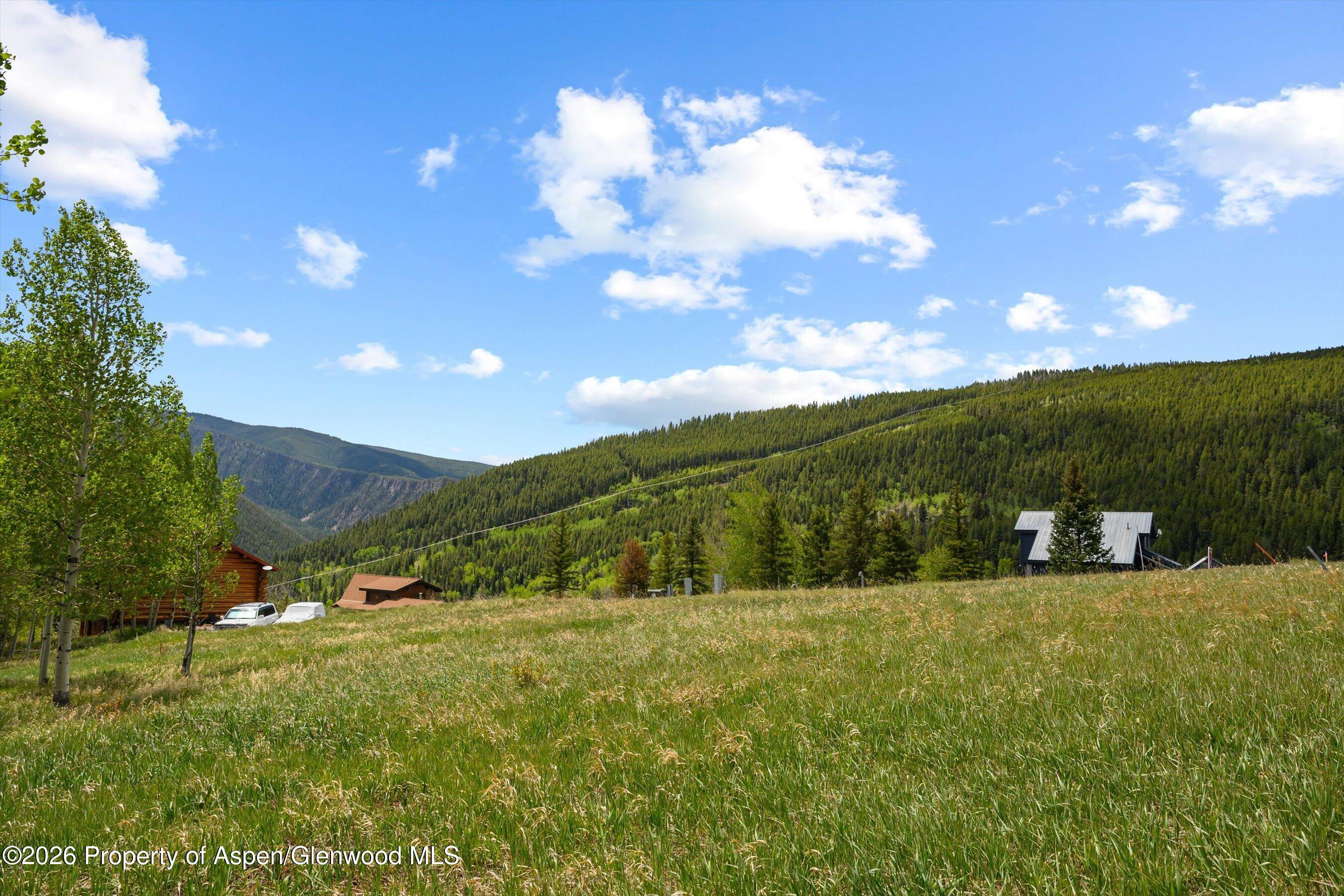 1239 McLaughlin Lane Basalt, CO 81621 - Photo 18 of 21 18-1239McLaughlin_26052118