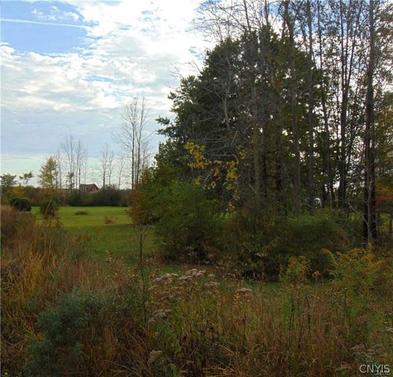 8614 Lakeport Road, Unit 69 Chittenango, NY 13037 - Photo 15 of 16 Gallery Image 15