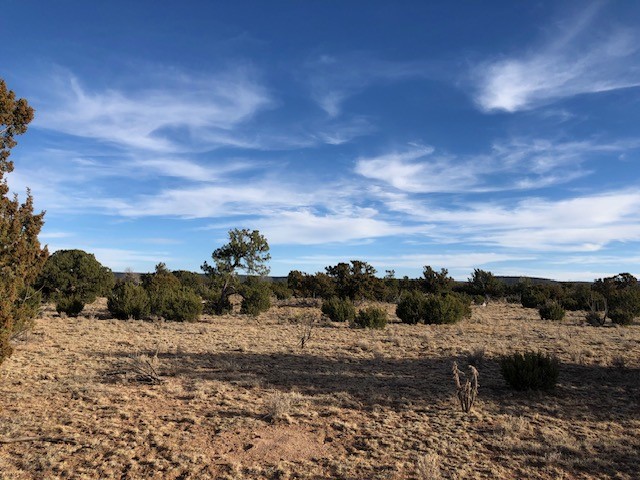 11 Anza Road Corona, NM 88318 - Photo 2 of 19