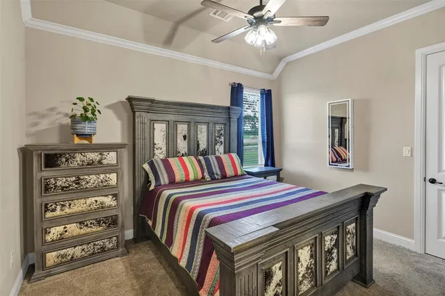 a bedroom with a bed a dresser and potted plant