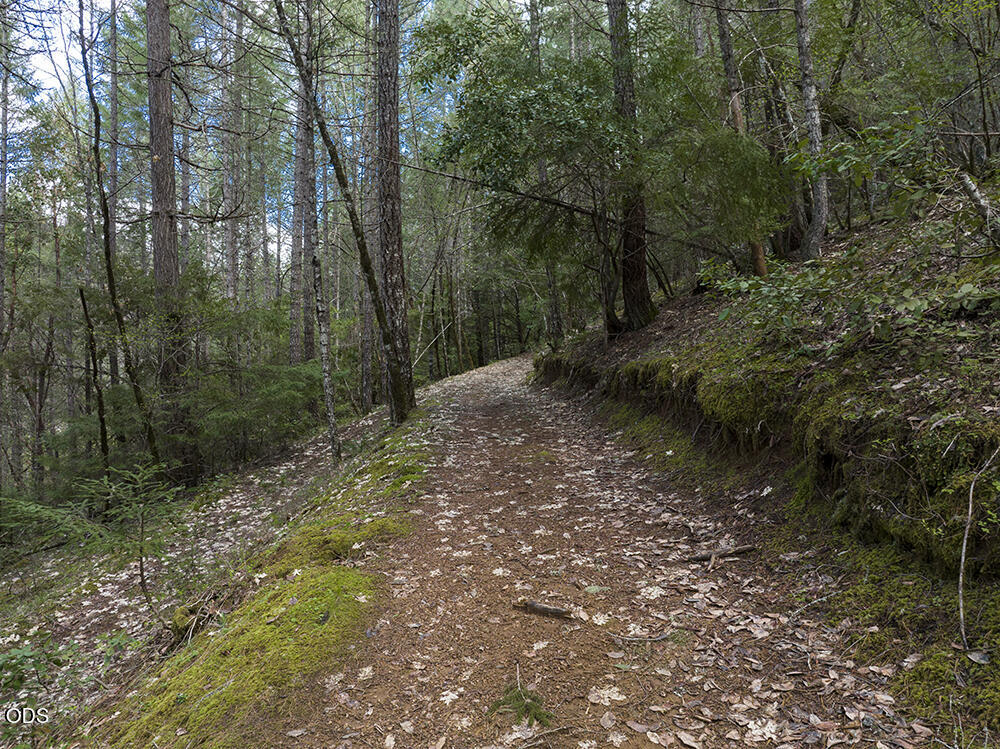 910 Reeves Creek Road Selma, OR 97538 - Photo 44 of 73