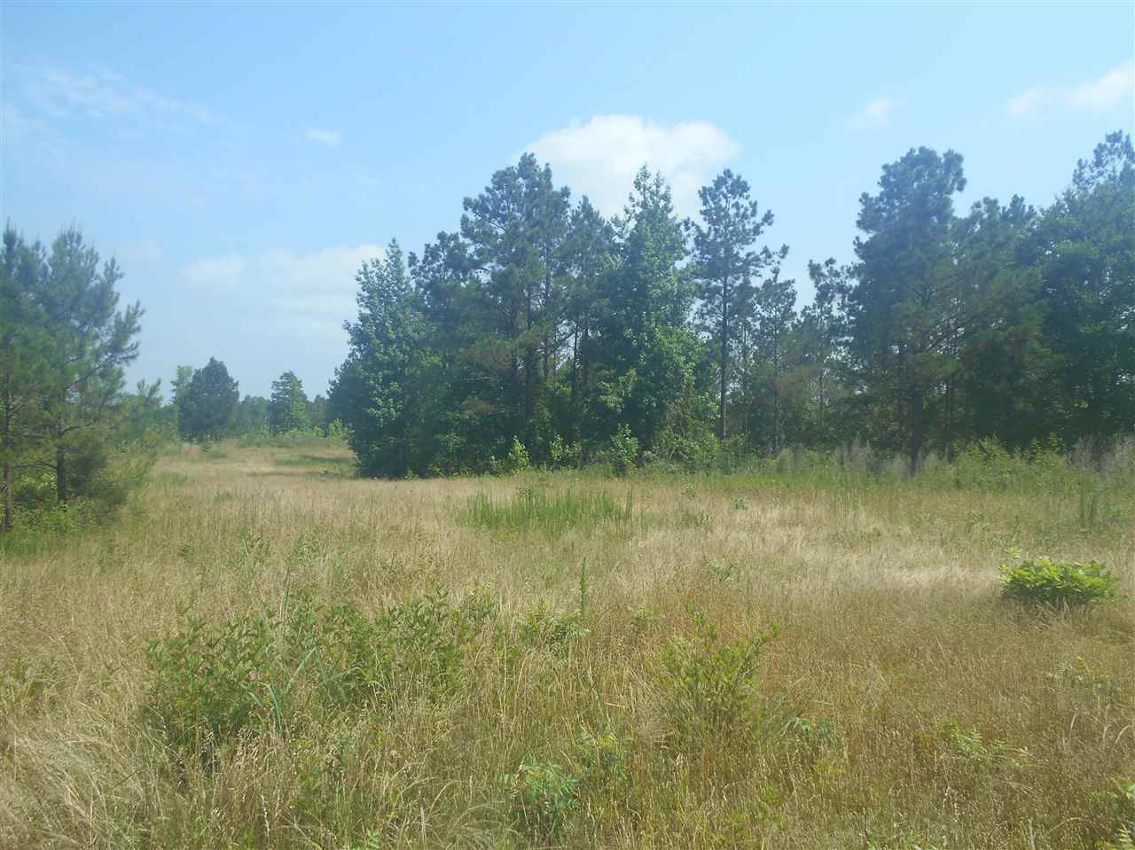 0 Rutherford Road Batesville, MS 38606 - Photo 1 of 21 Photo 1