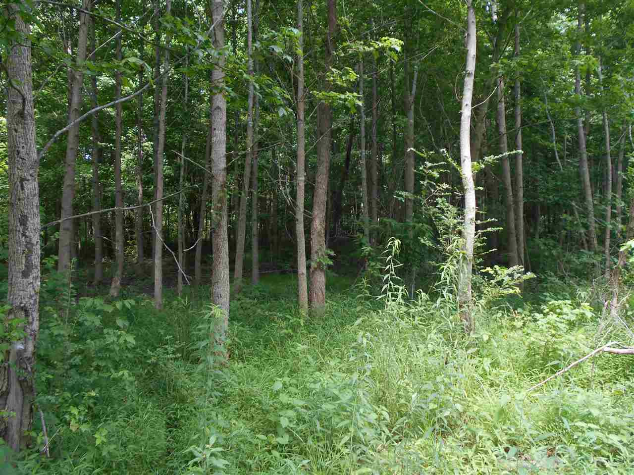 0 Rutherford Road Batesville, MS 38606 - Photo 11 of 21 Photo 11