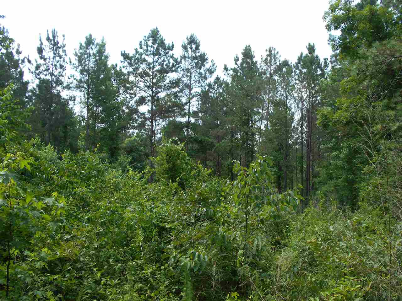 0 Rutherford Road Batesville, MS 38606 - Photo 12 of 21 Photo 12