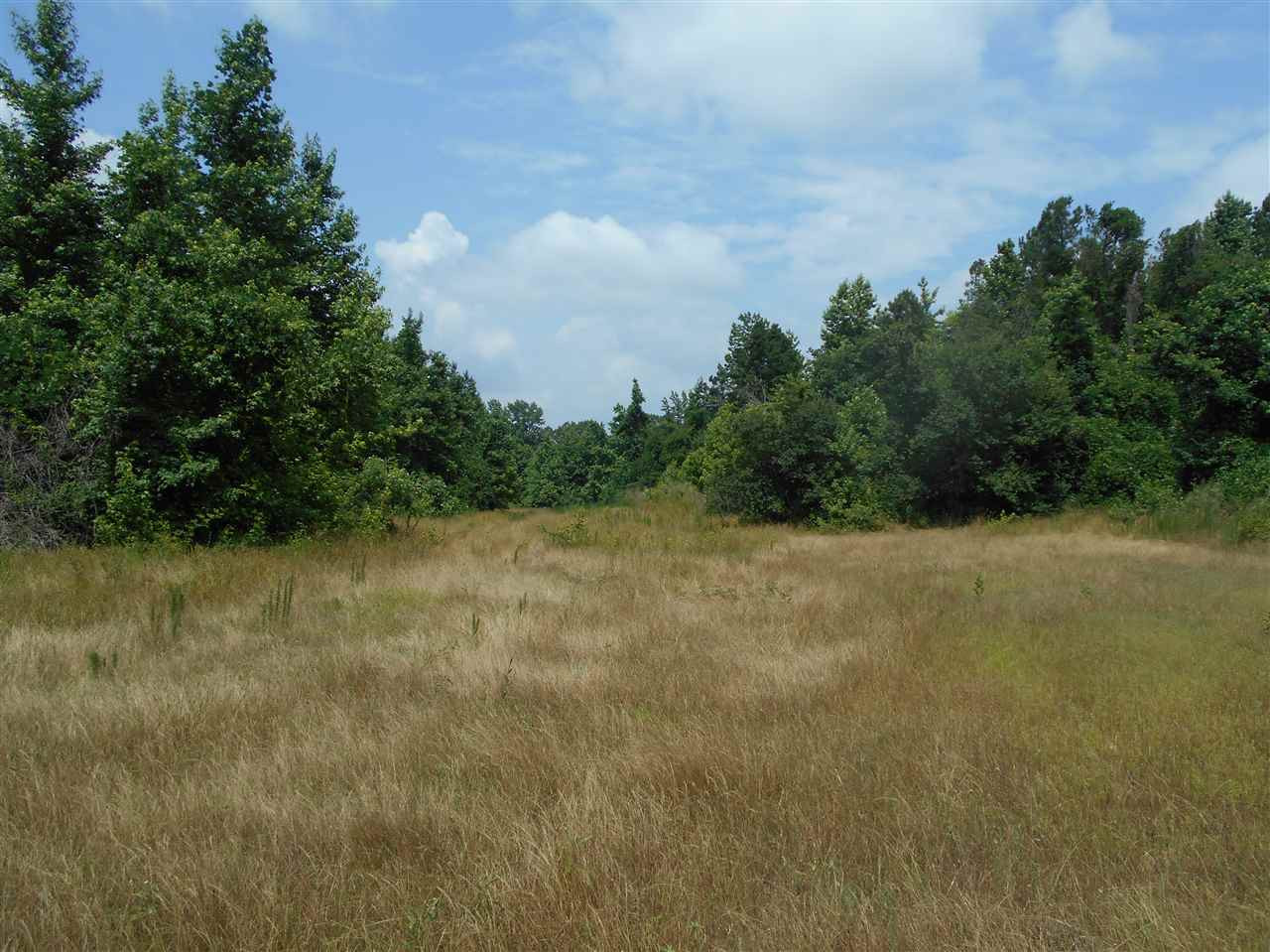 0 Rutherford Road Batesville, MS 38606 - Photo 16 of 21 Photo 16