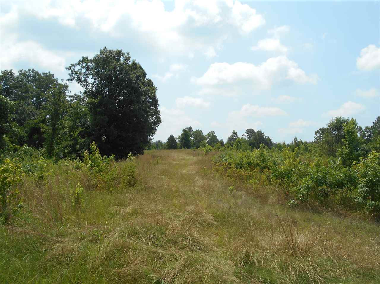 0 Rutherford Road Batesville, MS 38606 - Photo 17 of 21 Photo 17
