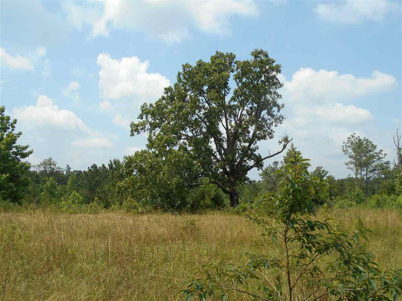 0 Rutherford Road Batesville, MS 38606 - Photo 18 of 21 Photo 18