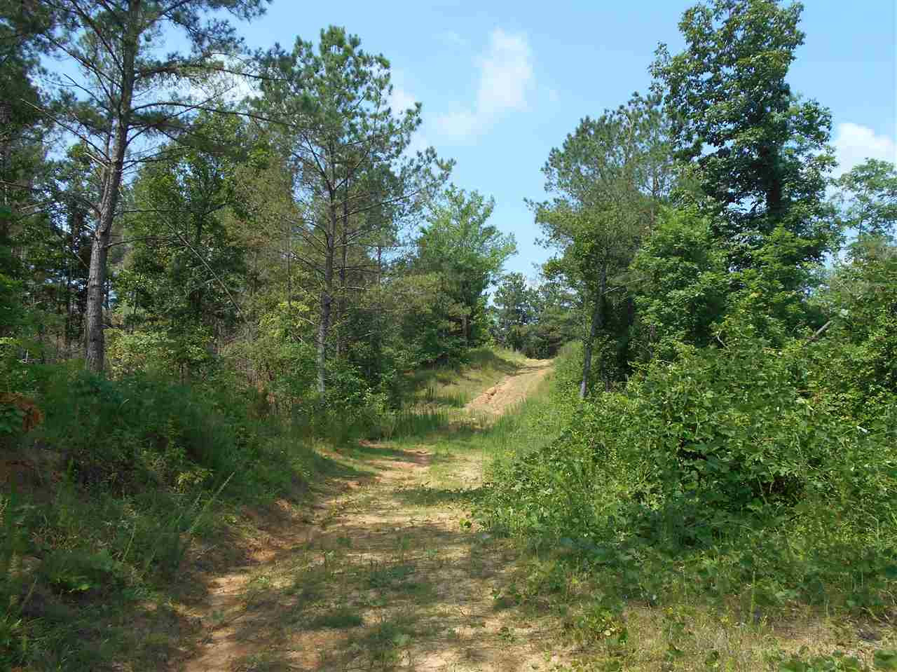 0 Rutherford Road Batesville, MS 38606 - Photo 3 of 21 Photo 3