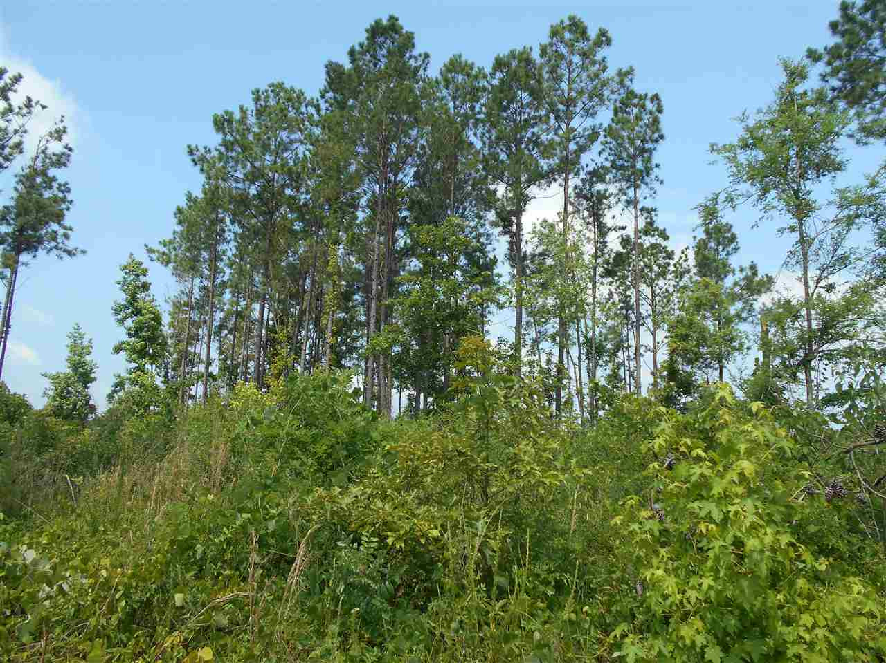 0 Rutherford Road Batesville, MS 38606 - Photo 4 of 21 Photo 4