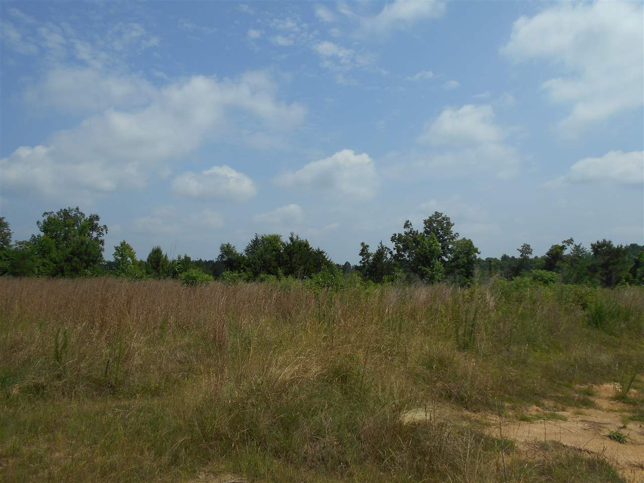 0 Rutherford Road Batesville, MS 38606 - Photo 5 of 21 Photo 5