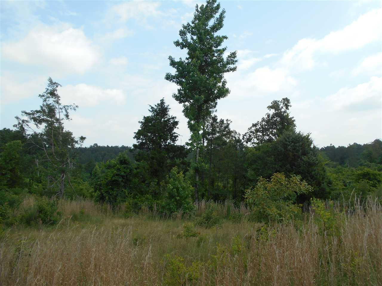 0 Rutherford Road Batesville, MS 38606 - Photo 7 of 21 Photo 7