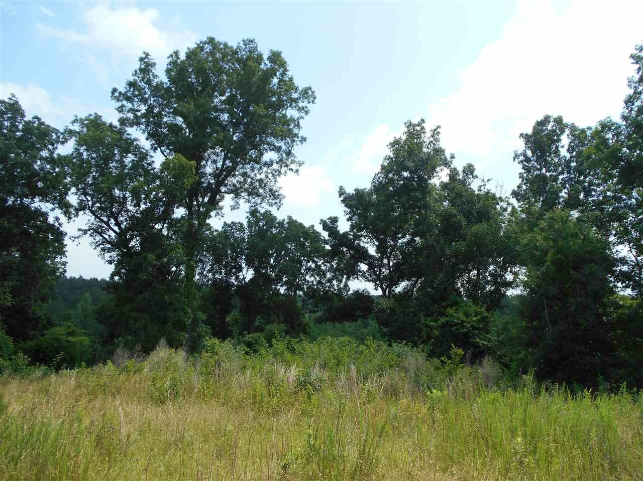 0 Rutherford Road Batesville, MS 38606 - Photo 8 of 21 Photo 8