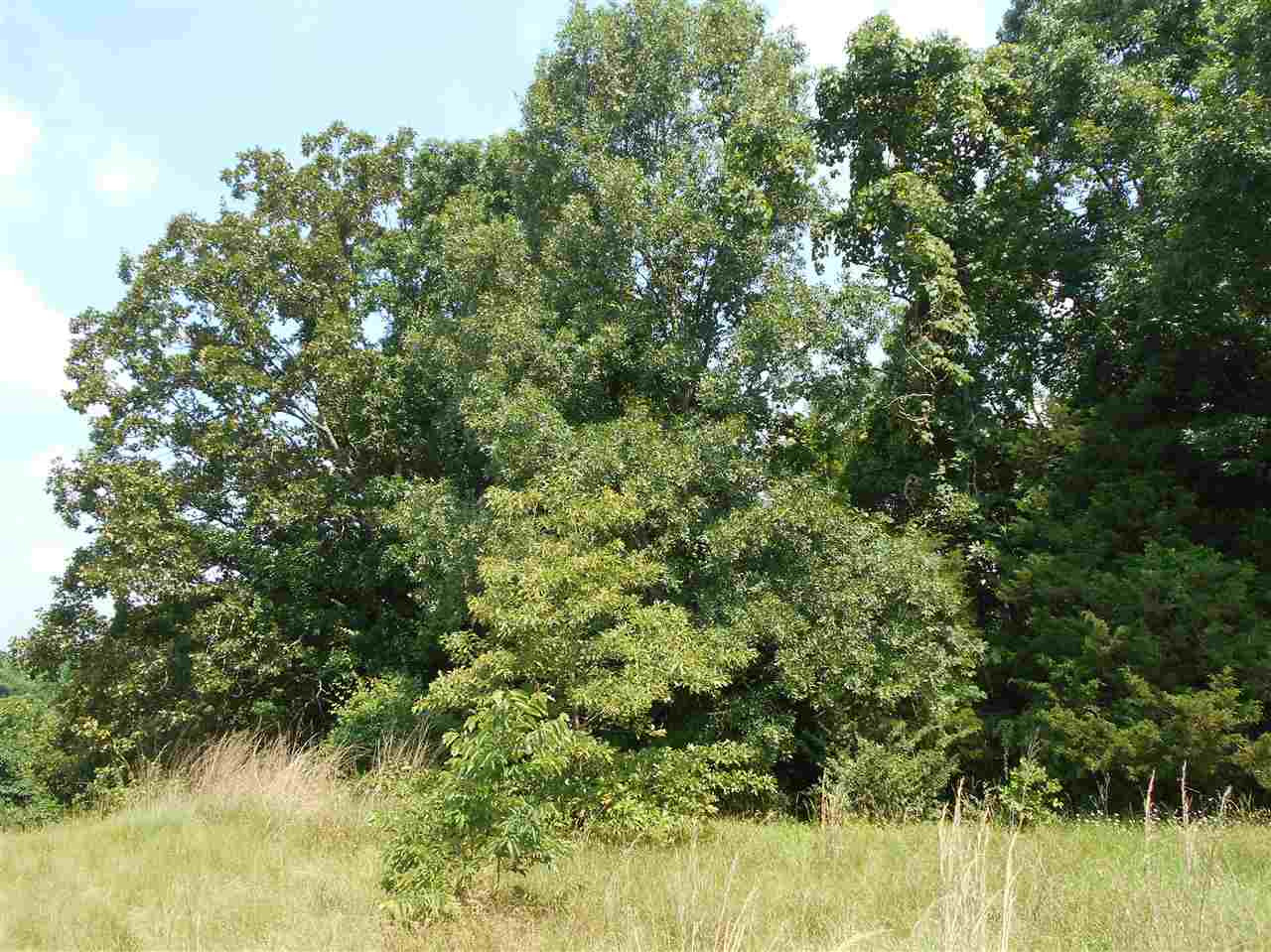0 Rutherford Road Batesville, MS 38606 - Photo 9 of 21 Photo 9