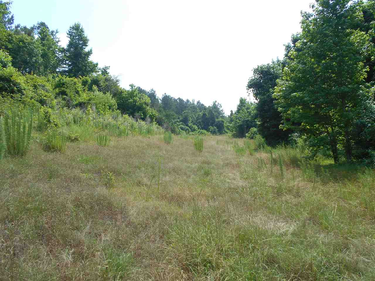 0 Rutherford Road Batesville, MS 38606 - Photo 10 of 21 Photo 10