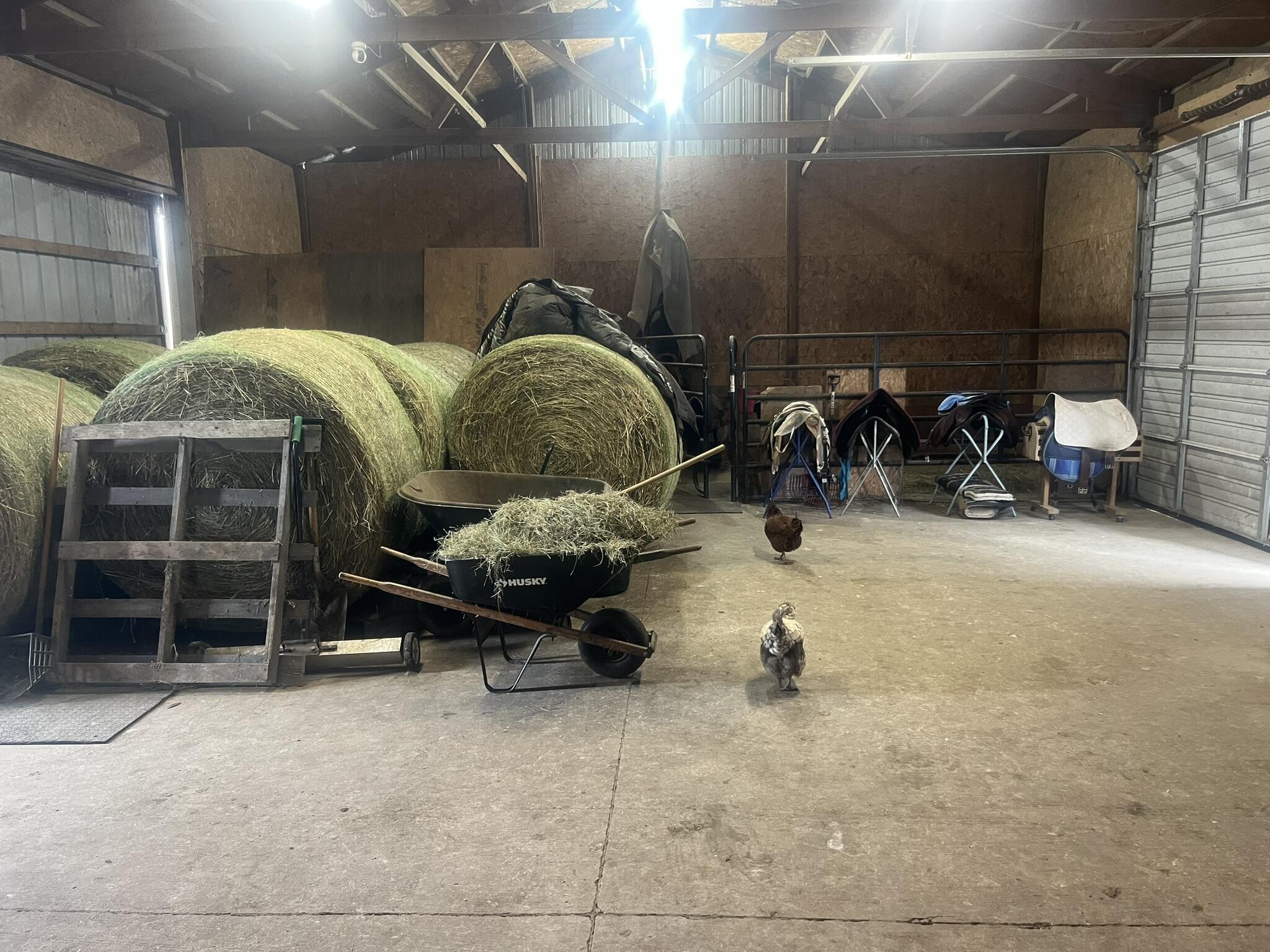 14296 Delaware Street Crown Point, IN 46307 - Photo 48 of 69 2048x1536