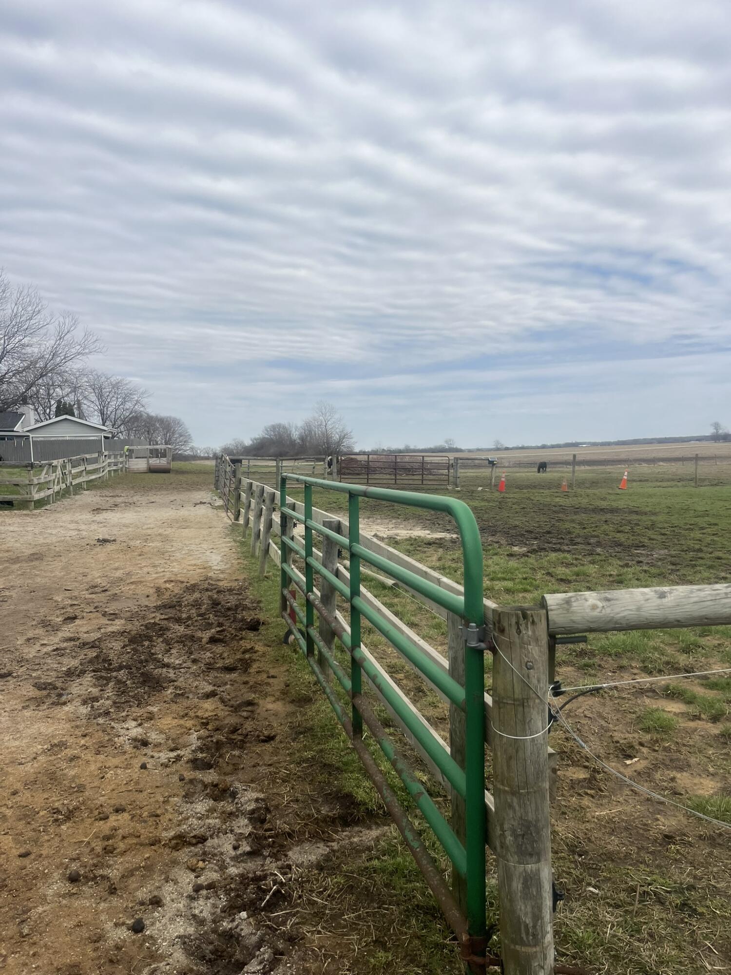 14296 Delaware Street Crown Point, IN 46307 - Photo 54 of 69 1500x2000