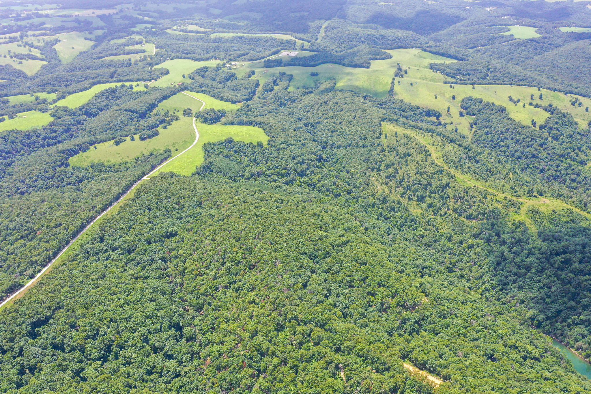 Tbd Dewdrop Road Blue Eye, MO 65611 - Photo 29 of 51 390 Acres on DewDrop, Blue Eye, MO