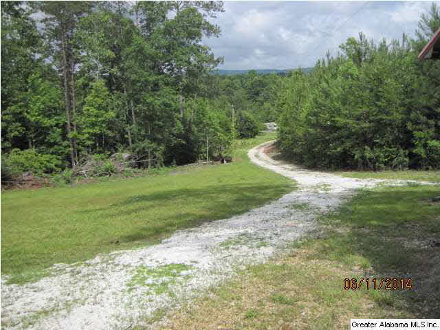 4679 Nubbin Creek Road Lineville, AL 36266 - Photo 4 of 18