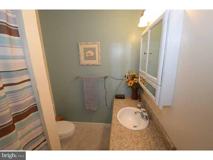 325 Valley View Road Springfield, PA 19064 - Photo 16 of 25 Bathroom