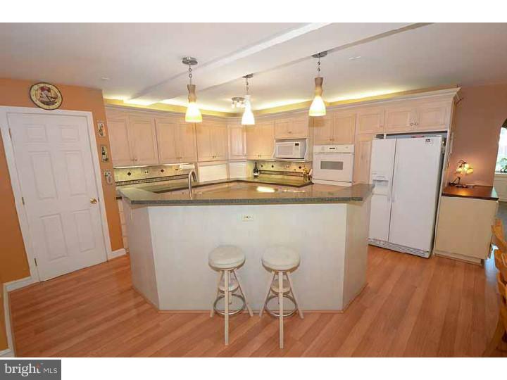 325 Valley View Road Springfield, PA 19064 - Photo 3 of 25 Kitchen